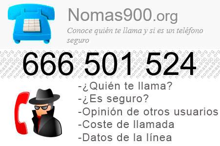 Teléfono 666501524